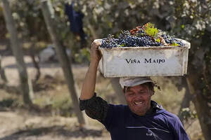 南美的波尔多——迈坡谷，喝懂高档智利葡萄酒必须了解的产区