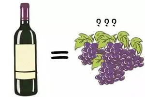解惑丨一瓶葡萄酒究竟要耗费多少葡萄才能酿成？