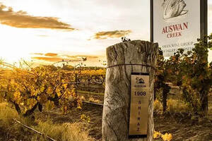 1-2月唯一进口额增长产酒国！澳洲葡萄酒抗跌性为何这么强？