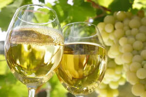 葡萄酒入门，应该了解的五个常见葡萄品种