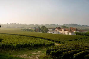 历数那些列入世界文化遗产的葡萄酒产区