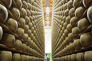 吃货都爱的帕玛森奶酪，意大利每年生产15万吨，不吃还能存银行