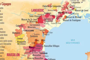 产区｜朗格多克-露喜龙：法国出口量最大的葡萄酒产区