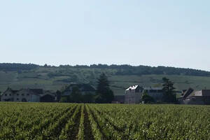 勃艮第的“明珠"——沃恩-罗曼尼村的优质葡萄园