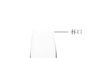你认识葡萄酒杯的结构吗？