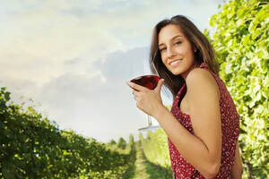 葡萄与百种佳酿葡萄酒，世界上最常见的100种酿酒葡萄