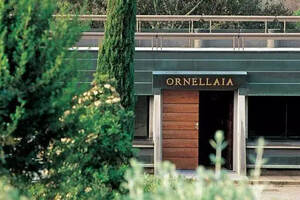 以酿酒师视角，看奥纳亚何以成为意大利顶级名庄？