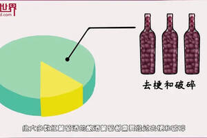 葡萄酒的发酵，其实并不简单
