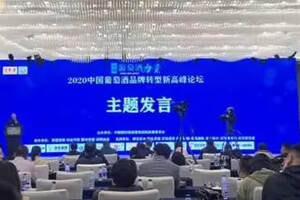 “消费品牌化，品牌消费化”，2020中国葡萄酒品牌转型新高峰论坛在天津举行