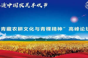 首个丰收节，谈起青藏农耕文化，什么才是青稞精神的“液体表达”