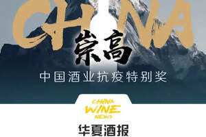 “崇高”的中国酒业