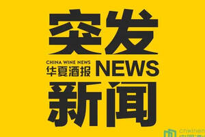 贵州省黔西南州人民检察院依法对王崇琳决定逮捕