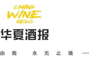 中国十大名酒企业