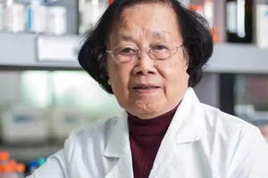 郑树：医学“常青树”60年求索，她是金庸钦佩的癌症专家