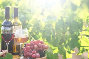 2021年国产葡萄酒利润微增7.6%，拐点期将至？