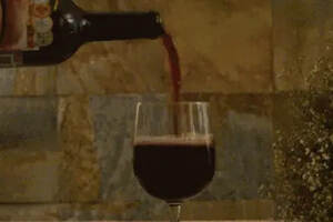 自然酒终于被正名！受法国葡萄酒业正式认可 | 酒斛发现