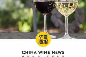 全球葡萄酒今年收成受损？速看这份预测报告