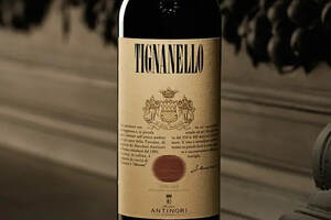 意大利葡萄酒代表品种