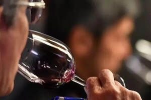 如何形容葡萄酒的香气？葡萄酒气味来源，香气是评价葡萄酒的要素