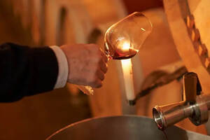 葡萄酒的风味是发酵过程的表达，现代葡萄酒酿造技术带来重大变革
