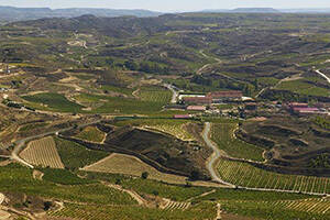世界酒窖：里奥哈葡萄酒产区