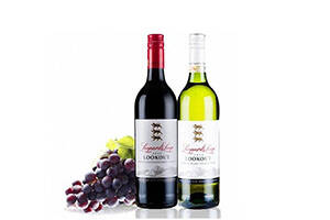 最佳保存葡萄酒的方法及侍酒温度