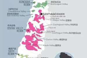 智利葡萄酒产区有4大14小，出口的葡萄酒90%都来自于中央山谷