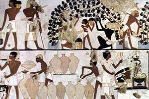 埃及为何被称为葡萄酒历史起源之地？