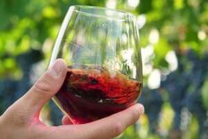 葡萄酒价格受什么影响？越贵的葡萄酒越好吗？