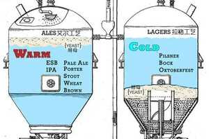 拉格啤酒是什么意思也有精酿吗，桶底低温发酵的窖藏啤酒有精酿