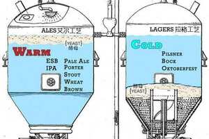 什么叫拉格啤酒，Lager是桶底酵母低温发酵的淡味啤酒