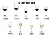 葡萄酒杯的种类和选择（葡萄酒杯的种类与图片）