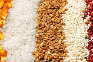 五粮指的是哪五粮，高粱/大米/糯米/小麦/玉米作用各不相同