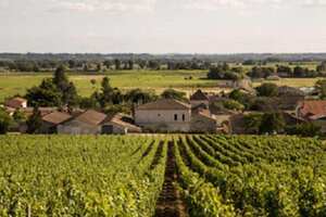 十大著名法国葡萄酒产区，每个产区的代表红酒一定要品尝