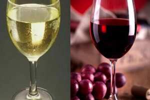 红葡萄酒和白葡萄酒的区别，不仅是颜色其口感风味和配餐都不同