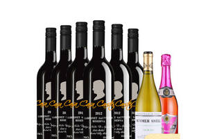 智利中央山谷卡斯藤酒庄珍藏RESERVA赤霞珠干红葡萄酒750ml6瓶整箱价格多少钱？