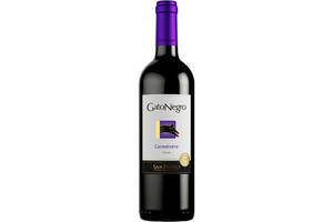 智利VSPT黑猫佳美娜干红葡萄酒750ml一瓶价格多少钱？