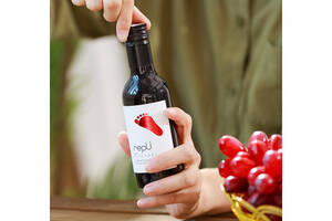 智利伊桐干红葡萄酒187ml6瓶整箱价格多少钱？