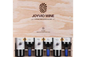 智利冰川集团佳沃醇美汇安第斯之翼美乐干红葡萄酒750ml6瓶整箱价格多少钱？