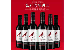 智利小红鸟智鹂赤霞珠干红葡萄酒375ml6瓶整箱价格多少钱？