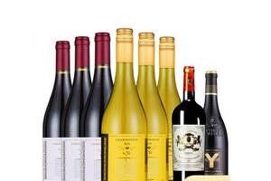 智利中央山谷百年份藤赤霞珠干红+霞多丽干白葡萄酒750ml6瓶整箱价格多少钱？