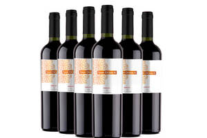 智利圣多沐斯梅洛干红葡萄酒750ml6瓶整箱价格多少钱？