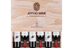 智利冰川集团佳沃醇美汇安第斯之翼赤霞珠干红葡萄酒750ml6瓶整箱价格多少钱？