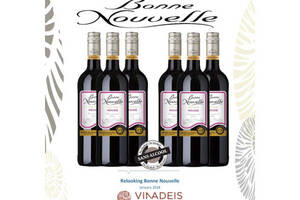法国伯尼·努瓦勒脱醇红葡萄酒750ml一瓶价格多少钱？