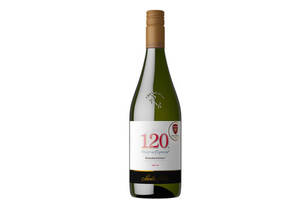 智利SantaRita圣丽塔酒庄120霞多丽干白葡萄酒750ml一瓶价格多少钱？