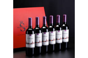 智利CLAYART干红葡萄酒750ml6瓶整箱价格多少钱？