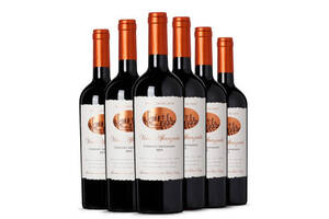 智利艾菲娜干红葡萄酒750ml6瓶整箱价格多少钱？