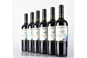 智利安第斯翠鸟赤霞珠干红葡萄酒750ml一瓶价格多少钱？