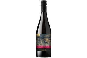 智利圣丽塔国家画廊系列珍藏黑皮诺干红葡萄酒750ml一瓶价格多少钱？