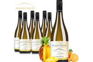 新西兰马尔堡产区岱谷酒庄BOUQUETVALLEY02019长相思干白葡萄酒750mlx6支整箱装价格多少钱？